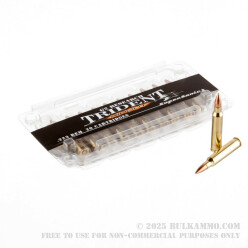 20 Rounds of .223 Ammo by G2 Research Trident - 65gr HP