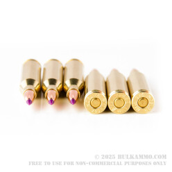 20 Rounds of .243 Win Ammo by Nosler Ammunition - 90gr Nosler Ballistic Tip