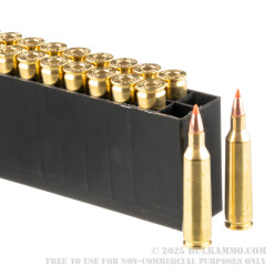 20 Rounds of .22-250 Rem Ammo by Hornady Varmint Express - 55gr V-MAX