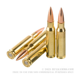 250 Rounds of .308 Win Ammo by American Quality Ammunition - 147gr FMJ