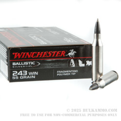 20 Rounds of .243 Win Ammo by Winchester Ballistic Silvertip - 55gr Polymer Tipped