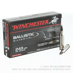 20 Rounds of .243 Win Ammo by Winchester Ballistic Silvertip - 55gr Polymer Tipped