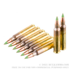 800 Rounds of 5.56x45 Ammo in Can by Federal - 62gr FMJBT