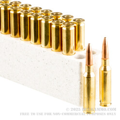 40 Rounds of 6.5 mm Creedmoor Ammo by Winchester - 125gr Open Tip - Range