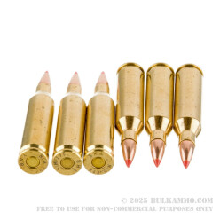 20 Rounds of .243 Win Ammo by Black Hills Gold - 95gr Polymer Tipped