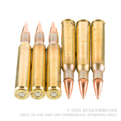 200 Rounds of 30-06 Springfield Ammo by Fiocchi - 150gr FMJ