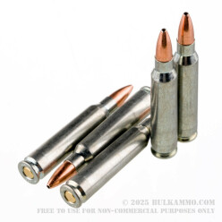 20 Rounds of .223 Ammo by Silver Bear - 55gr HP