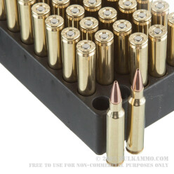 50 Rounds of .223 Ammo by Black Hills Ammunition - 75gr HP