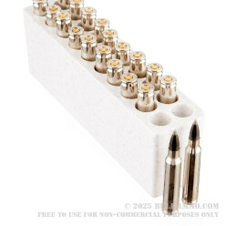 20 Rounds of .223 Ammo by Winchester Ballistic Silvertip - 55gr Polymer Tipped