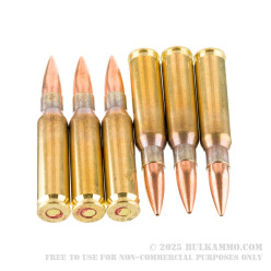 20 Rounds of 7.62x51 Ammo by IMI - 175gr OTM