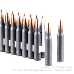 20 Rounds of .223 Ammo by Red Army Standard - 55gr FMJ