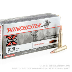 20 Rounds of .223 Ammo by Winchester - 64gr HP