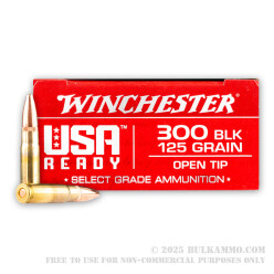 20 Rounds of .300 AAC Blackout Ammo by Winchester USA Ready - 125gr OT