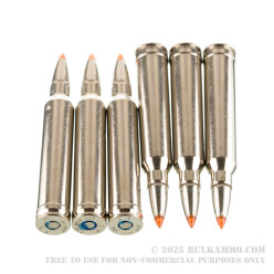 20 Rounds of .300 Win Mag Ammo by Federal - 165gr Trophy Bonded Tip