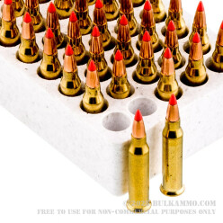 50 Rounds of .17 WSM Ammo by Hornady Varmint Express - 20gr V-MAX