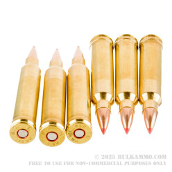 20 Rounds of .300 Win Mag Ammo by Black Hills Gold Ammunition - 178gr Polymer Tipped