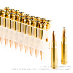 20 Rounds of .308 Win Ammo by Federal - 180gr SP