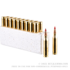 20 Rounds of .243 Win Ammo by Winchester Deer Season XP Copper Impact - 85gr Copper Extreme Point