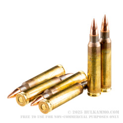 200 Rounds of .223 Rem Ammo by Fiocchi Shooting Dynamics - 55gr FMJBT