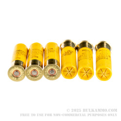 25 Rounds of 20ga Ammo by Fiocchi - 1 ounce #5 shot