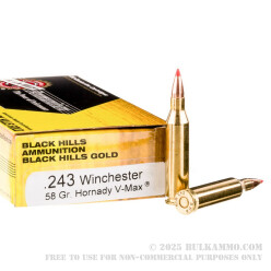 20 Rounds of .243 Win Ammo by Black Hills Gold - 58gr V-MAX