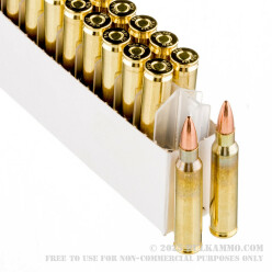 20 Rounds of .223 Ammo by Prvi Partizan - 55gr FMJ