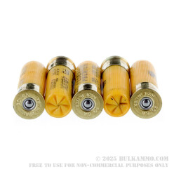 5 Rounds of 20ga Ammo by Federal Premium Personal Defense -  #4 Buck