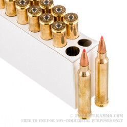 20 Rounds of .300 Win Mag Ammo by Fiocchi - 180gr SST