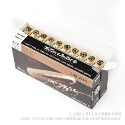20 Rounds of .308 Win Ammo by Sellier & Bellot - 180gr XRG