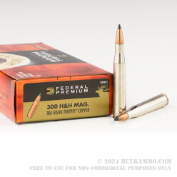 20 Rounds of .300 H&H Mag Ammo by Federal - 180gr JHP