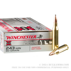 20 Rounds of .243 Win Ammo by Winchester - 80gr SP