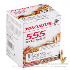 5550 Rounds of .22 LR Ammo by Winchester - 36gr CPHP