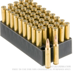 50 Rounds of .223 Rem Ammo by Black Hills Ammunition - 36gr Varmint Grenade