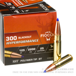 25 Rounds of .300 AAC Blackout Ammo by Fiocchi Extrema - 125gr SST