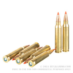 100 Rounds of .223 Ammo by Federal Varmint & Predator - 53gr V-MAX