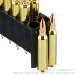 20 Rounds of .223 Ammo by Nosler - 40gr Ballistic Tip Lead-Free