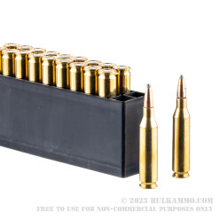 20 Rounds of .243 Win Ammo by PMC - 100gr SPBT Interlock