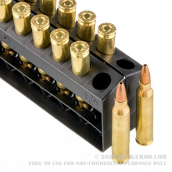 20 Rounds of .223 Ammo by Remington - 45 gr JHP