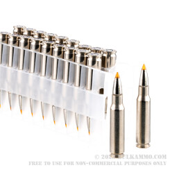 20 Rounds of .308 Win Ammo by Federal - 165gr Trophy Bonded Tip