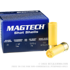 250 Rounds of 20ga Ammo by Magtech - 13/16 ounce F shot