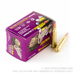 20 Rounds of .223 Ammo by Golden Bear - 62gr SP