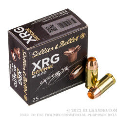25 Rounds of .45 ACP Ammo by Sellier & Bellot XRG Defense - 165gr SCHP