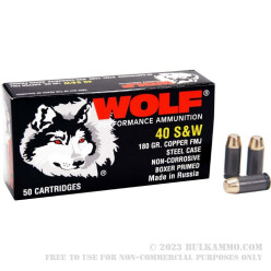 50 Rounds of .40 S&W Ammo by Wolf - 180gr FMJ