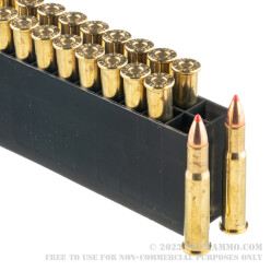 20 Rounds of .32 Win Spl Ammo by Hornady - 165gr FTX