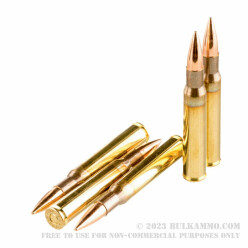 20 Rounds of 30-06 Springfield M1 Garand Ammo by Sellier & Bellot - 150gr M2 Ball FMJ