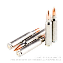 20 Rounds of .223 Ammo by Silver Bear - 55gr FMJ