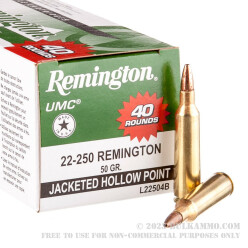 40 Rounds of .22-250 Rem Ammo by Remington - 50gr JHP