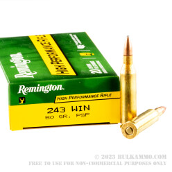 20 Rounds of .243 Win Ammo by Remington - 80gr PSP
