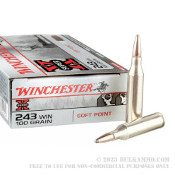 20 Rounds of .243 Win Ammo by Winchester - 100gr PP