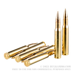 20 Rounds of 30-06 Springfield Ammo by Sellier & Bellot - 180gr FMJ